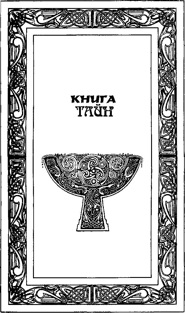 Вивельгар тайная книга магов скачать