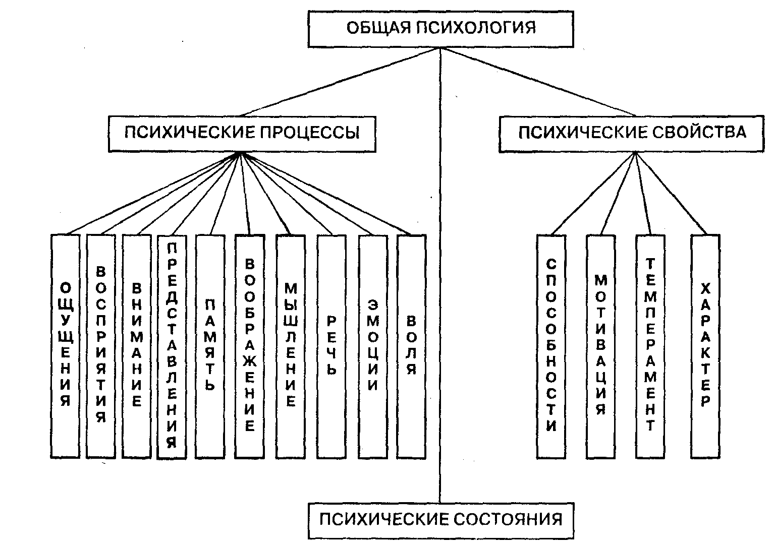 Схемы и таблица по психологии Схемы и таблица по психологии