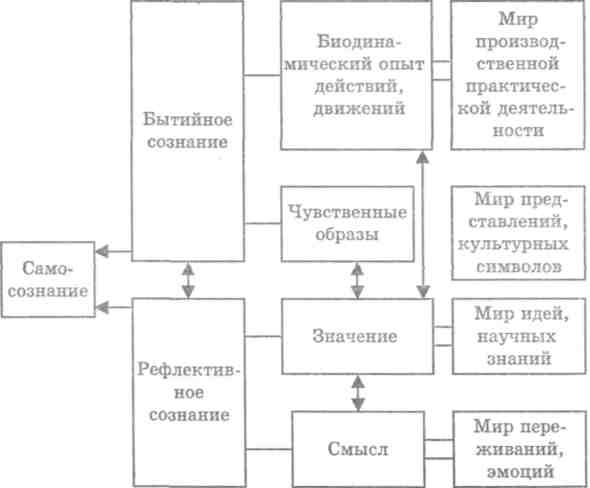 Контрольная работа: Структура и функции сознания